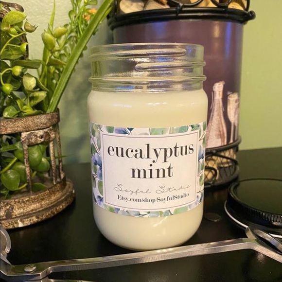 Eucalyptus mint 10oz soy candle - Picture 3 of 3